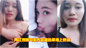 网红刘婷勾引大叔路边草地上野战