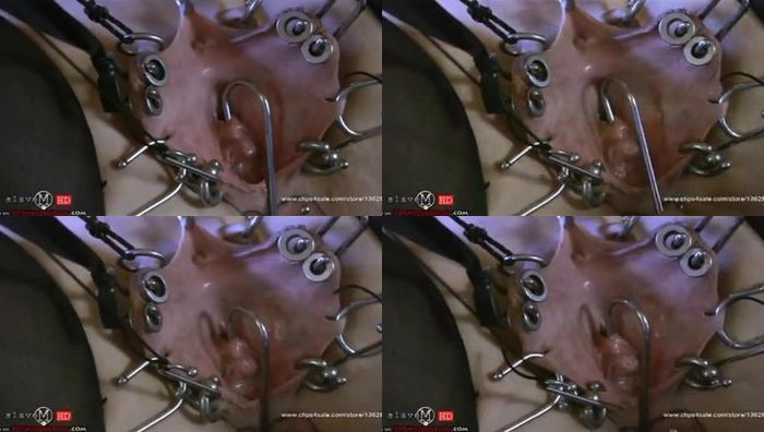 重虐阴道布满钢环阴唇被极限拉扯鱼钩折磨尿道口视频