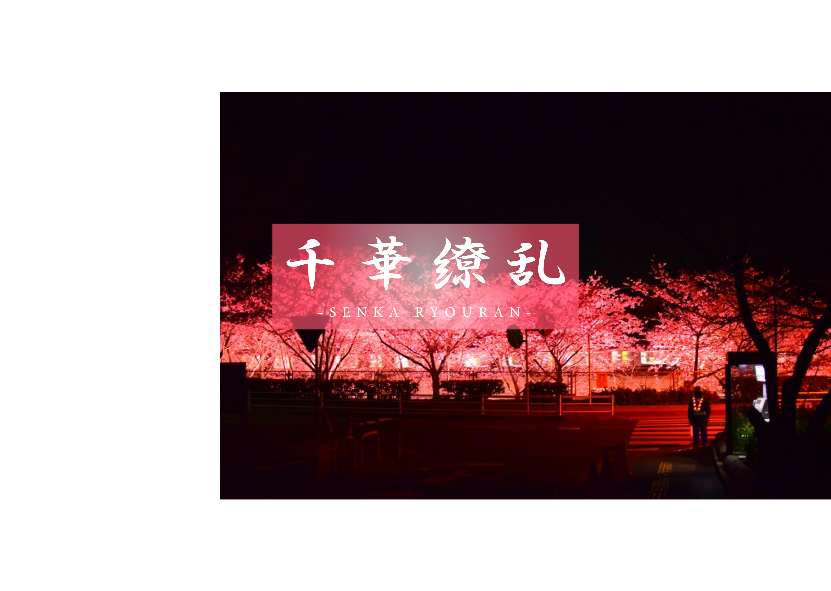 【传说中的美女再次. . ii】澄み渡る空气和最高的美女再次。请看令人震惊的3p。樱18岁-cd2